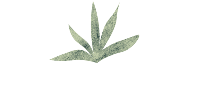 Logo bambucracia 26 (3)