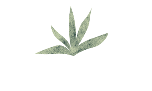 Logo bambucracia 26 (3)